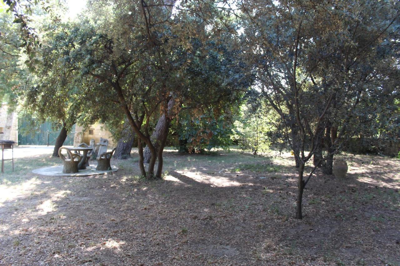 בוקר Le Mas De Lucien Entre Arles, Nimes, Avignon. מראה חיצוני תמונה