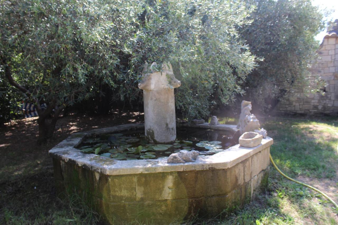 בוקר Le Mas De Lucien Entre Arles, Nimes, Avignon. מראה חיצוני תמונה