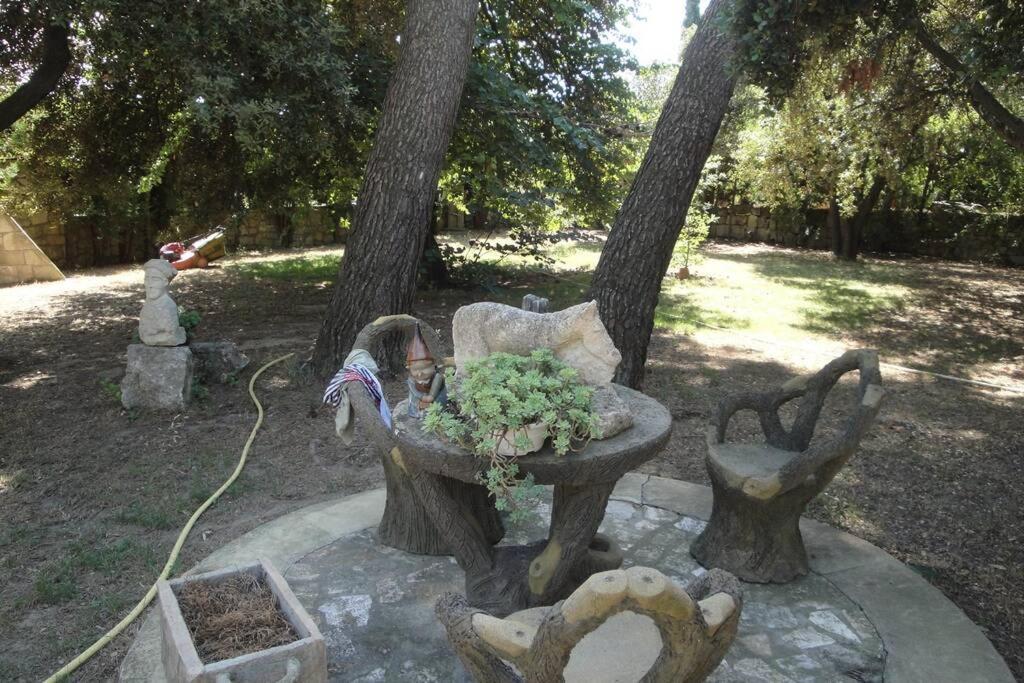 בוקר Le Mas De Lucien Entre Arles, Nimes, Avignon. מראה חיצוני תמונה