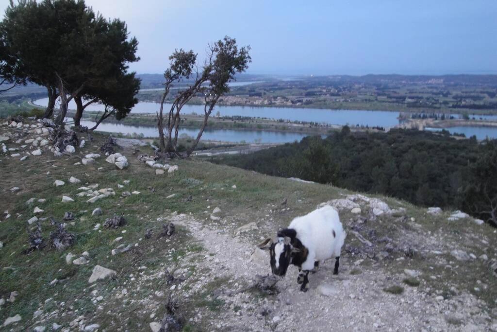 בוקר Le Mas De Lucien Entre Arles, Nimes, Avignon. מראה חיצוני תמונה