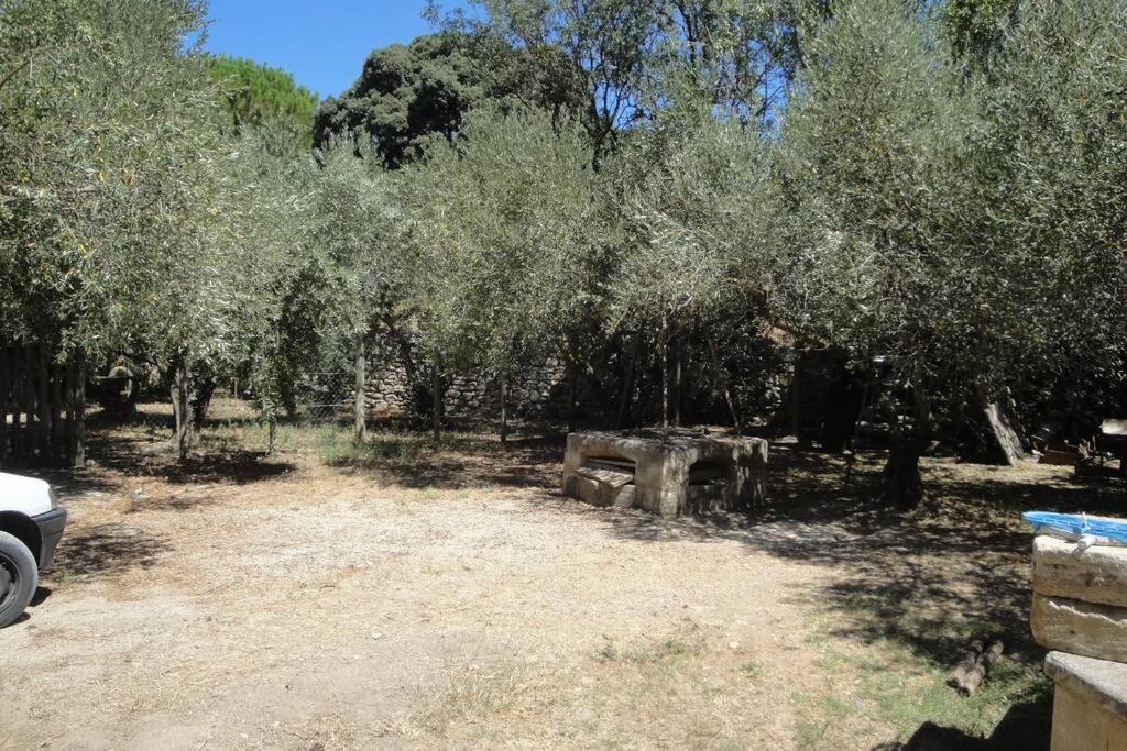 בוקר Le Mas De Lucien Entre Arles, Nimes, Avignon. מראה חיצוני תמונה