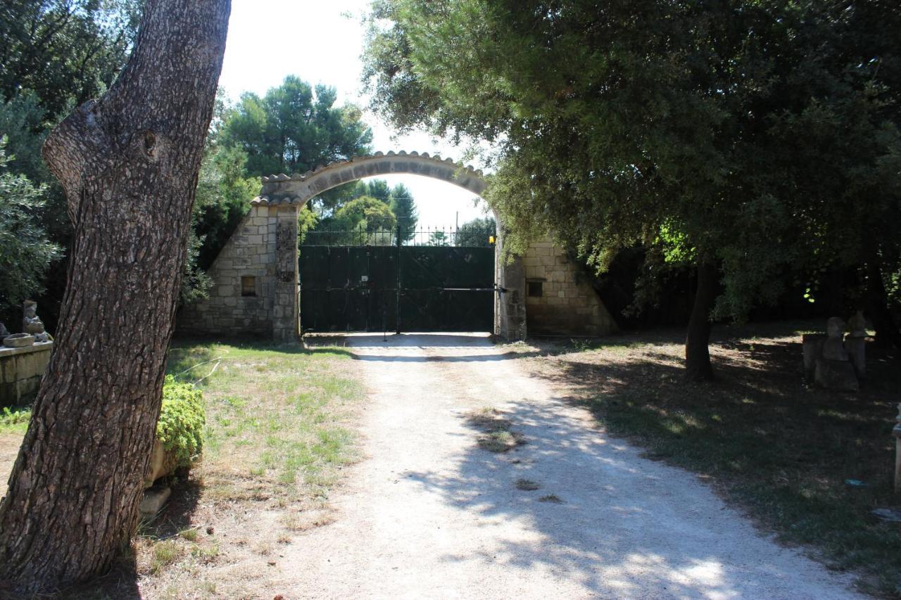 בוקר Le Mas De Lucien Entre Arles, Nimes, Avignon. מראה חיצוני תמונה