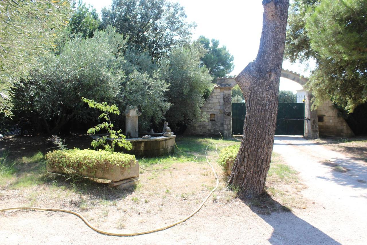 בוקר Le Mas De Lucien Entre Arles, Nimes, Avignon. מראה חיצוני תמונה